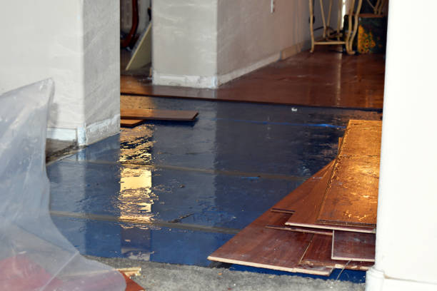 Professional Sewage Cleanup technician working in Haslett, MI